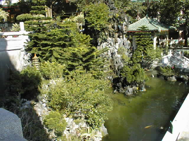 Koi Pond